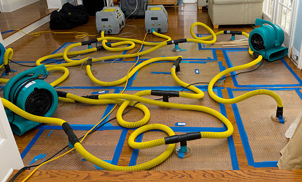 Professional Basement Flood Cleanup technician working in Courtland, MS