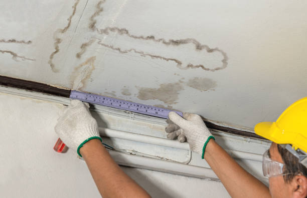 Affordable Water Damage Repair solutions in Courtland, MS